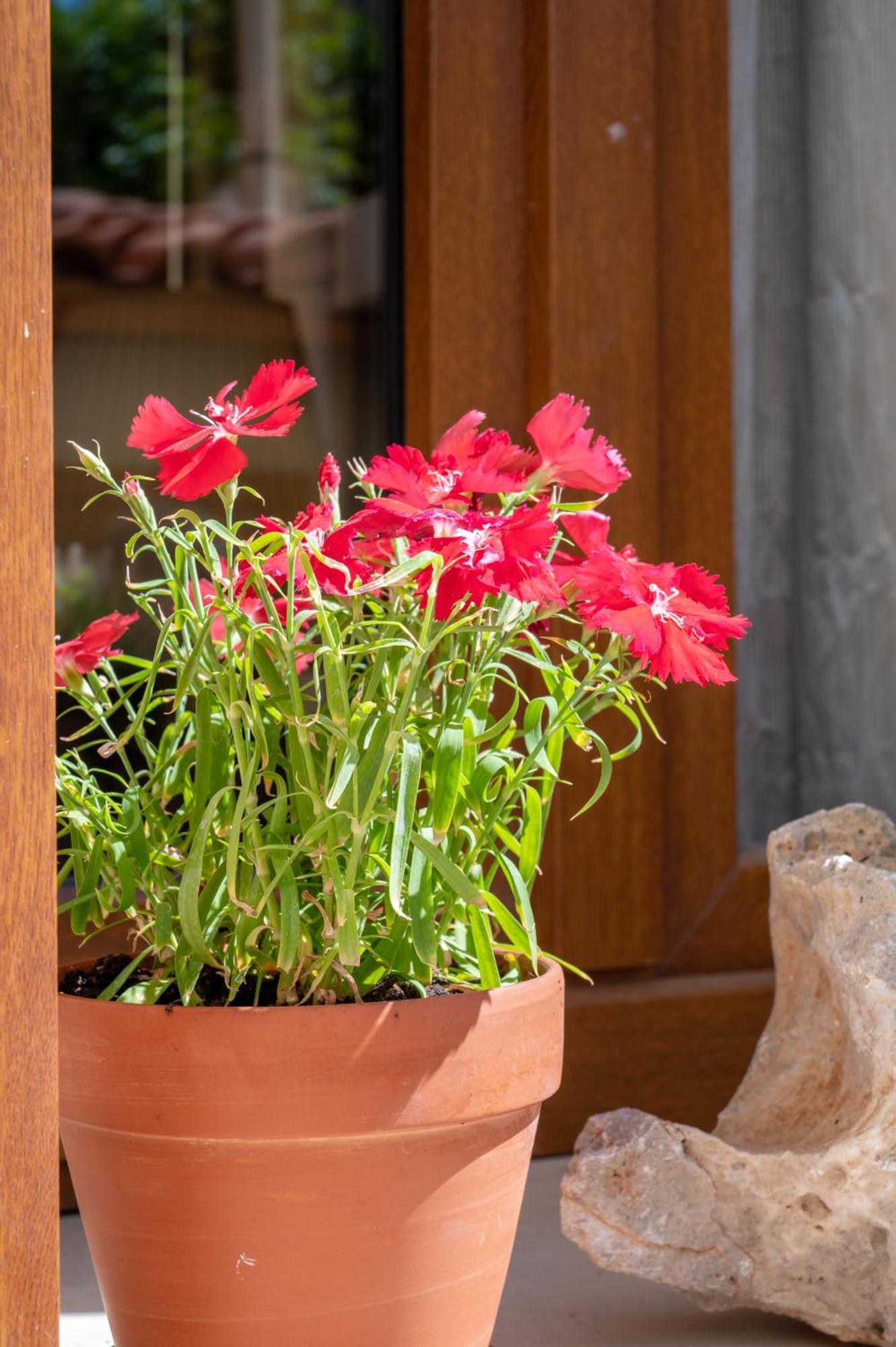Rocca A Mare Maisonette I Apartment *